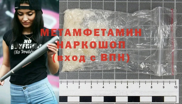 прущие грибы Михайловка