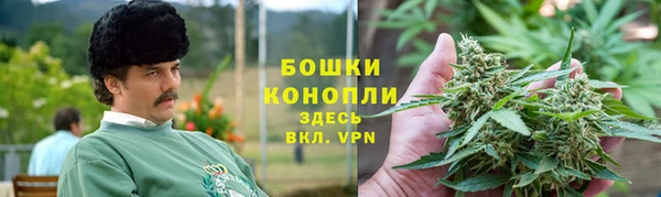 прущие грибы Михайловка