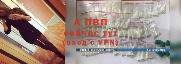 PSILOCYBIN Медвежьегорск