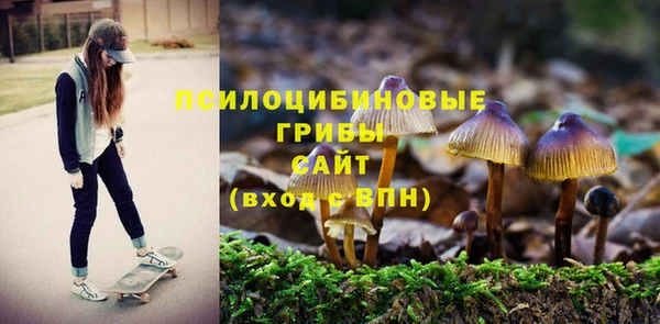 мефедрон Медногорск