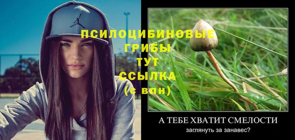 PSILOCYBIN Медвежьегорск
