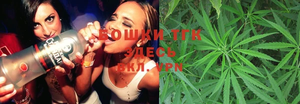 прущие грибы Михайловка