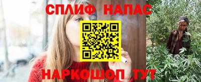 СК Гусев