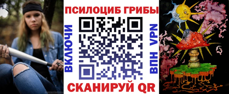 Галлюциногенные грибы Psilocybine cubensis  Качканар 