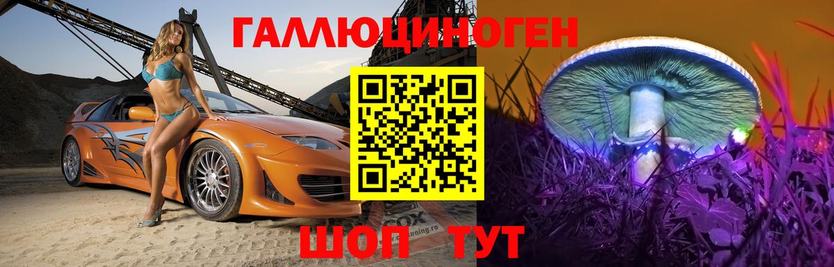 Качканар  Галлюциногенные грибы прущие грибы  Вход с VPN 