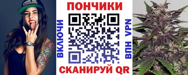 Каннабис план  Качканар 
